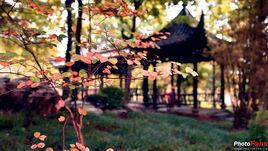 銅陵永泉農莊度假村 銅陵永泉農莊度假村