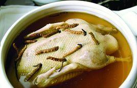 旱蒸貝母雞 旱蒸貝母雞