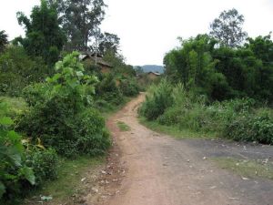 粉壁自然村 粉壁自然村