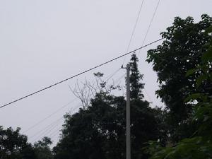 電線架進村通電