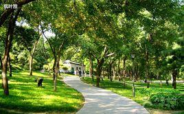 靈芝公園 靈芝公園
