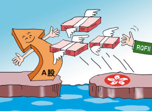 配額基金 配額基金