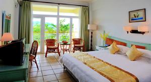 高級園景房（大床）