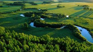 嫩江源頭區濕地 嫩江源頭區濕地