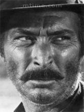 李&middot;范&middot;克里夫