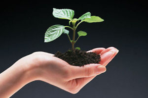 森林工程技術專業 森林工程技術專業