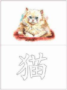 貓[漢語漢字]