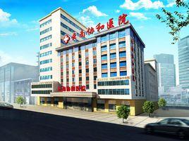 雲南協和醫院 雲南協和醫院