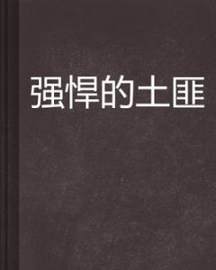 強悍的土匪 強悍的土匪