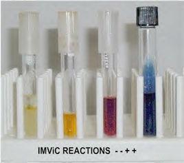 IMViC試驗 IMViC試驗