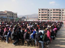 龍山鎮中心中學