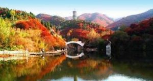 裸美谷森林生態園