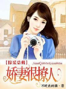 掠愛總裁:嬌妻很撩人 掠愛總裁:嬌妻很撩人