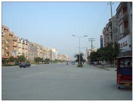 瑞寶街道 瑞寶街道