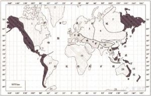 特提斯—喜馬拉雅成礦域 特提斯—喜馬拉雅成礦域