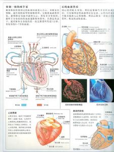 老年人甲亢性心臟病