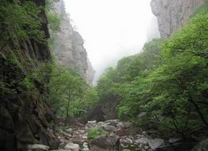 山西曆山國家級自然保護區 山西曆山國家級自然保護區