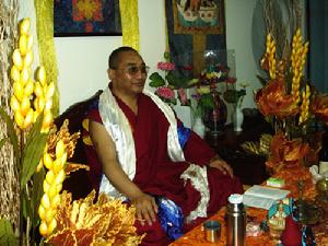 根松成林曲傑嘉才仁波且