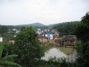 曼賀弄自然村 曼賀弄自然村