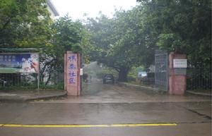 樵泰社區 樵泰社區