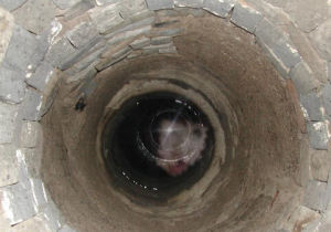 義井遺址 義井遺址