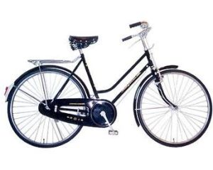 永久腳踏車 永久腳踏車