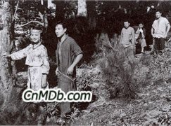 《阿里山之鶯》