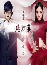 張傑張靚穎合作