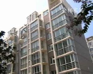 金杯家園 金杯家園