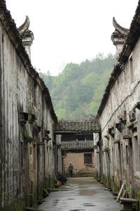 田市鎮[浙江省仙居縣田市鎮]