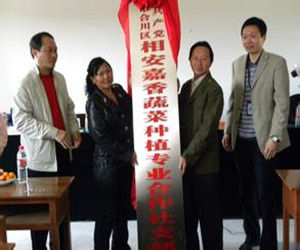 農民專業合作經濟組織 農民專業合作經濟組織