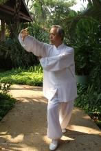 楊式太極拳 楊式太極拳