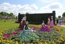 鹽城黃尖牡丹園高清組圖