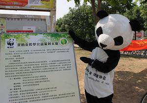 熊貓大使