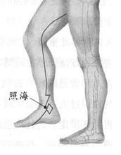 照海穴 照海穴