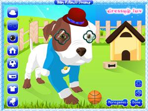 紳士小狗換裝 紳士小狗換裝