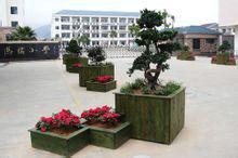 馬站國小 馬站國小