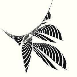 曲線幻覺 曲線幻覺