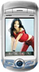 南極星 P301 南極星 P301