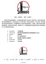 中國石油化工股份有限公司