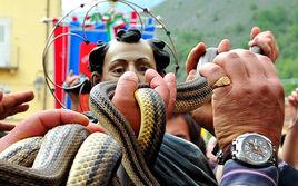 義大利游蛇節 義大利游蛇節