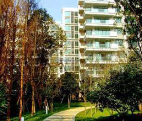 博瑞優品道二期 博瑞優品道二期