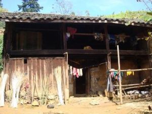 維西灣村 維西灣村