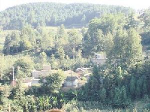 三畝沖村 三畝沖村