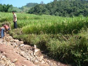 下曼箐村 下曼箐村