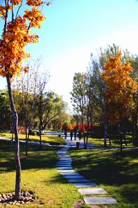 哈爾濱太陽島國家濕地公園