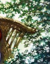 東方不敗之紅衣飄飄 東方不敗之紅衣飄飄