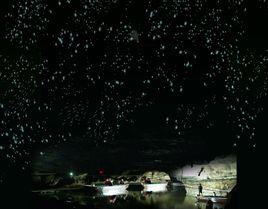 沂水地下螢光湖旅遊區 沂水地下螢光湖旅遊區