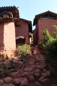 信旦自然村 信旦自然村