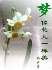夢像花兒一樣美 夢像花兒一樣美
